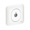 ▷  Ovalis - prise TV - avec griffes Schneider Electric au meilleur prix -  Interrupteurs et prises Schneider