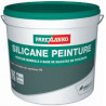 SILICANE PEINTURE 14L (P3)