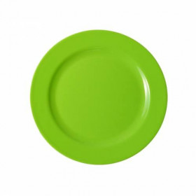 Assiette colorée réutilisable - 20 cm Vert
