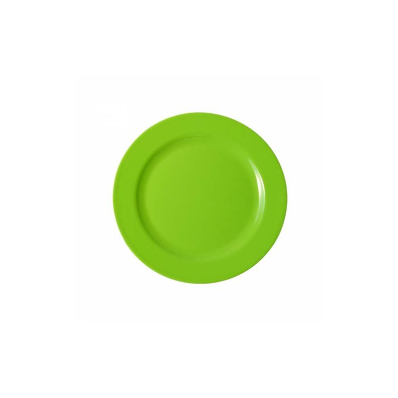 Assiette colorée réutilisable - 20 cm Vert