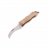 Couteau à champignon avec brosse