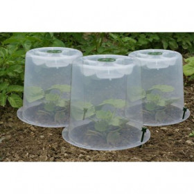 Cloches potagères rigides pour semis lot de 3 + 6 mini piquets