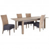 Chaise en rotin, teck et suédine