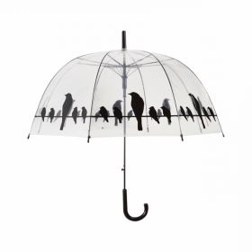 Parapluie transparent oiseaux sur un fil