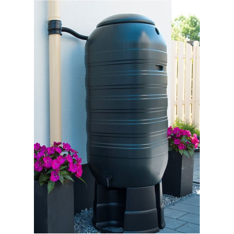 Récupérateur d'eau en colonne murale - PE 250 l vert noir - H121 x 50 x 50 cm