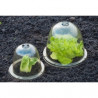 Cloches avec ventilation - H30,5 x Ø33,5 cm - 3 x