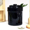 Pot à choucroute pour la lacto-fermentation + pierres/couvercle 3L Marron