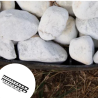 Bordure Jardin Delima 45mm x 2,40m Gris Anthracite - Jouplast