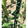 PACK 150 VERT JARDIN : 6 tuteurs 150 cm et 24 attaches