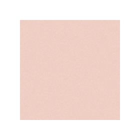 Argil paint SIENNE CALCINEE