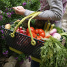 Panier de récolte Kajo Gris