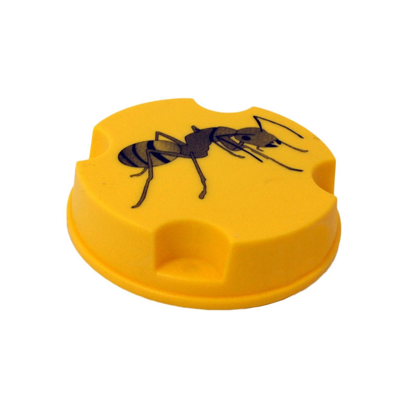 Anti fourmis (boite de 10g)