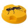 Anti fourmis (boite de 10g)