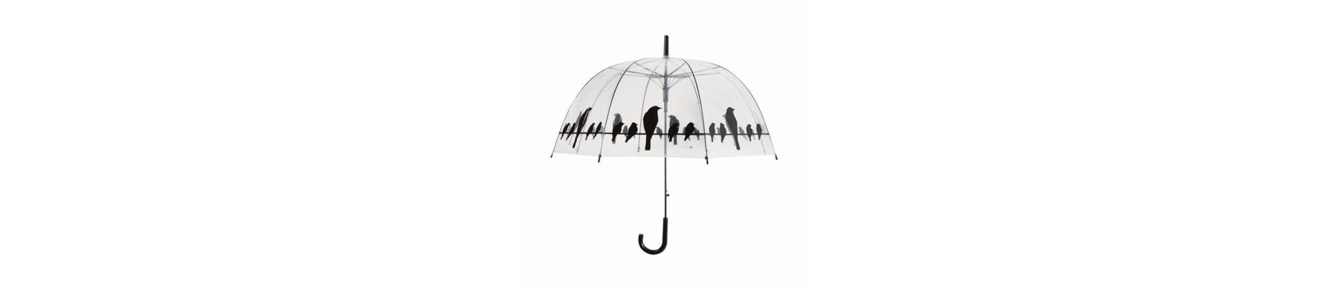 Parapluies et portes parapluies