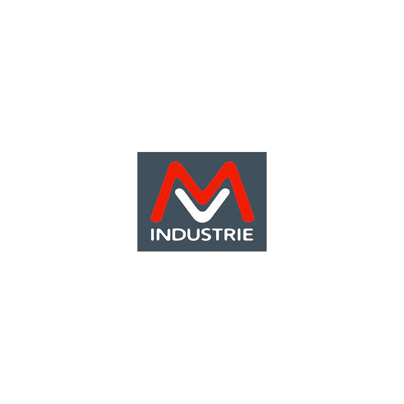 MV INDUSTRIE