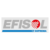 EFISOL